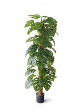 Artificial Superior Monstera Pole Plant - 5 ft (160 cm)